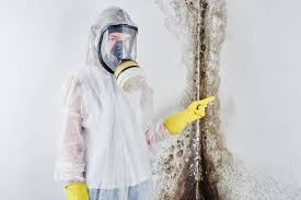 Why You Should Choose Our Mold Remediation Services in Whiting, IN